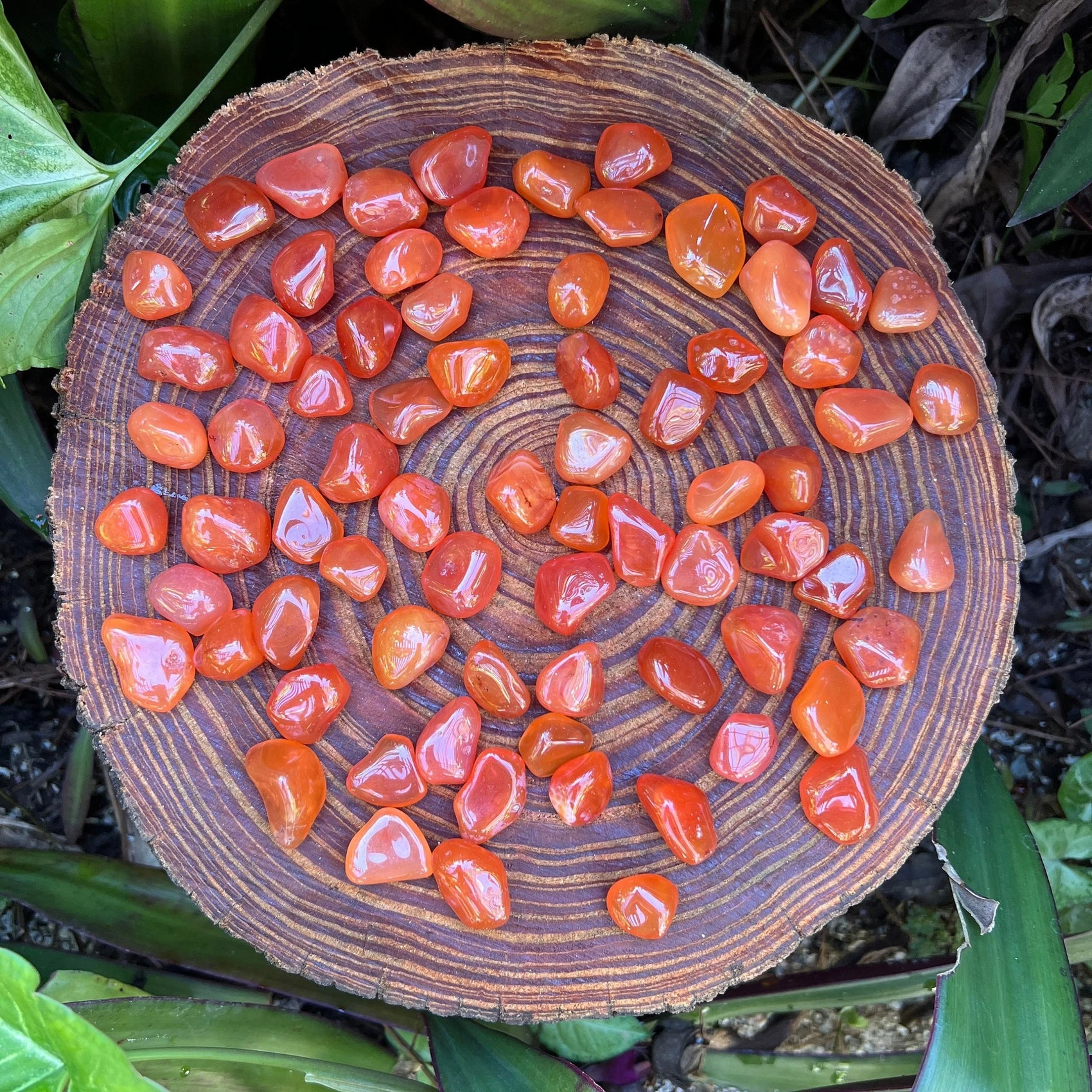 Detail shot of Grade AA Carnelian tumbled stone under natural light
