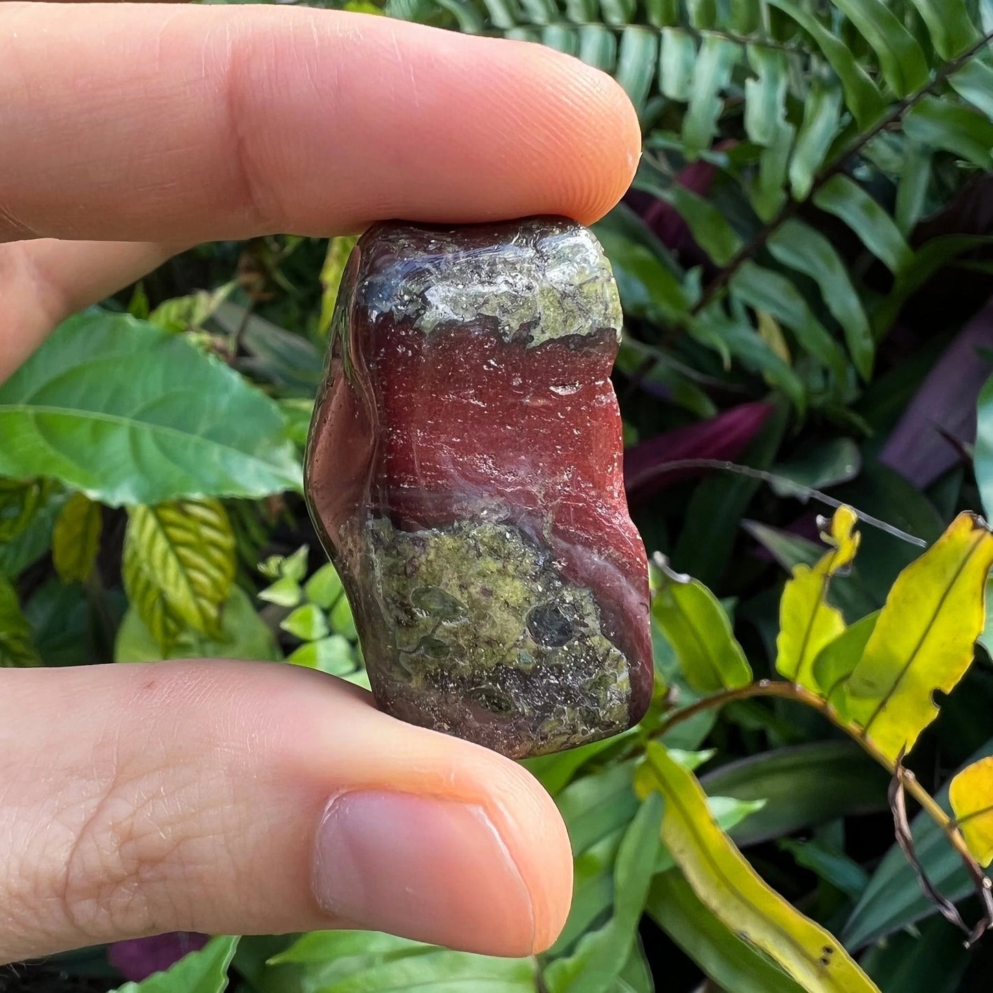 Full profile of Grade AA Dragon Bloodstone tumbled stone ready to ship from Beyond Bohemian