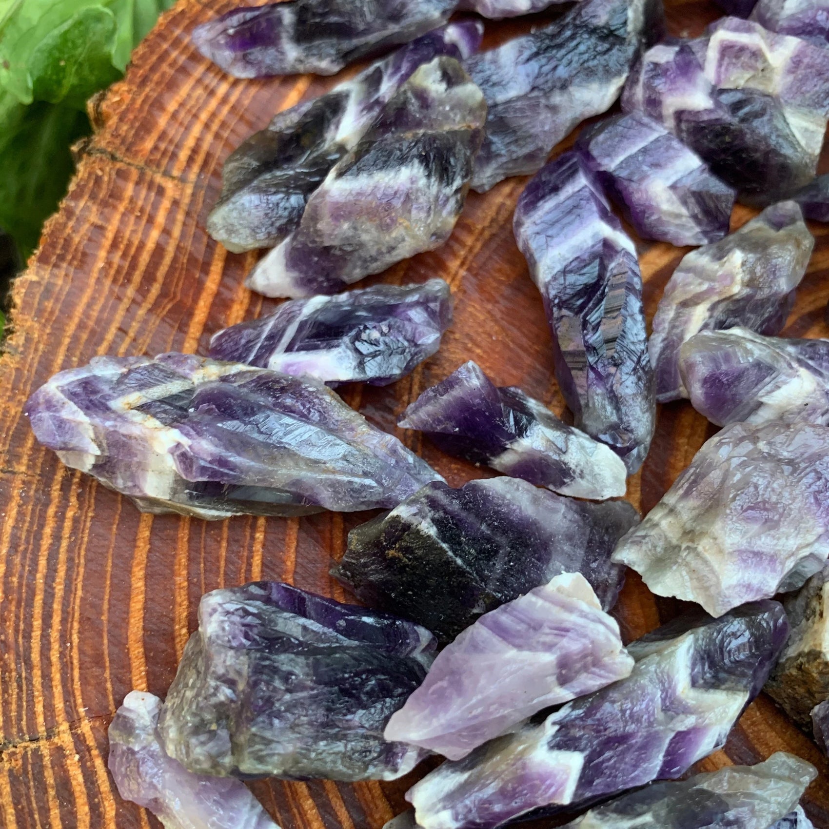 Detail shot of Grade AA Chevron Amethyst raw under natural light