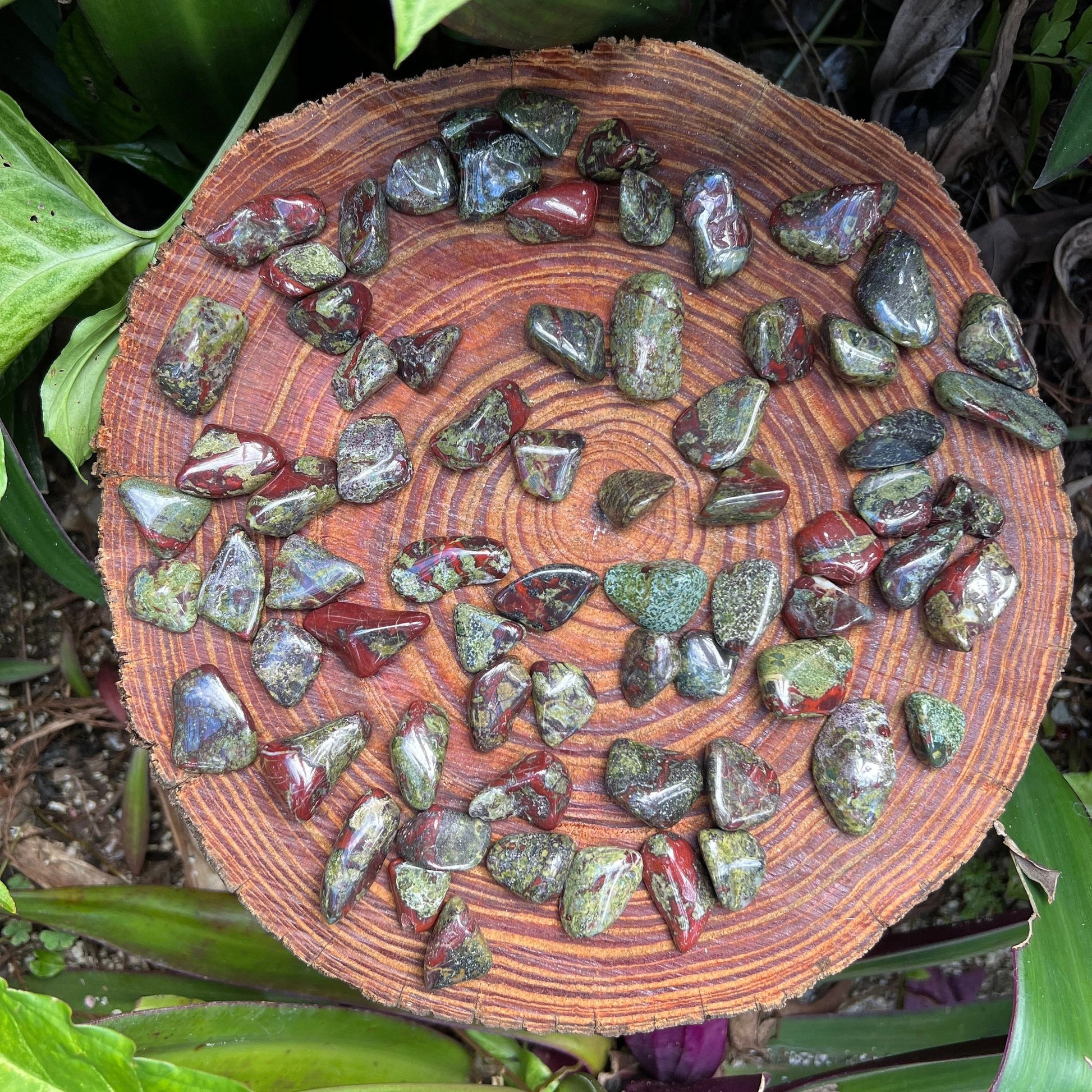 Up-close view of green Dragon Bloodstone tumbled stone, showing color depth, kept near for Confidence and Energy.