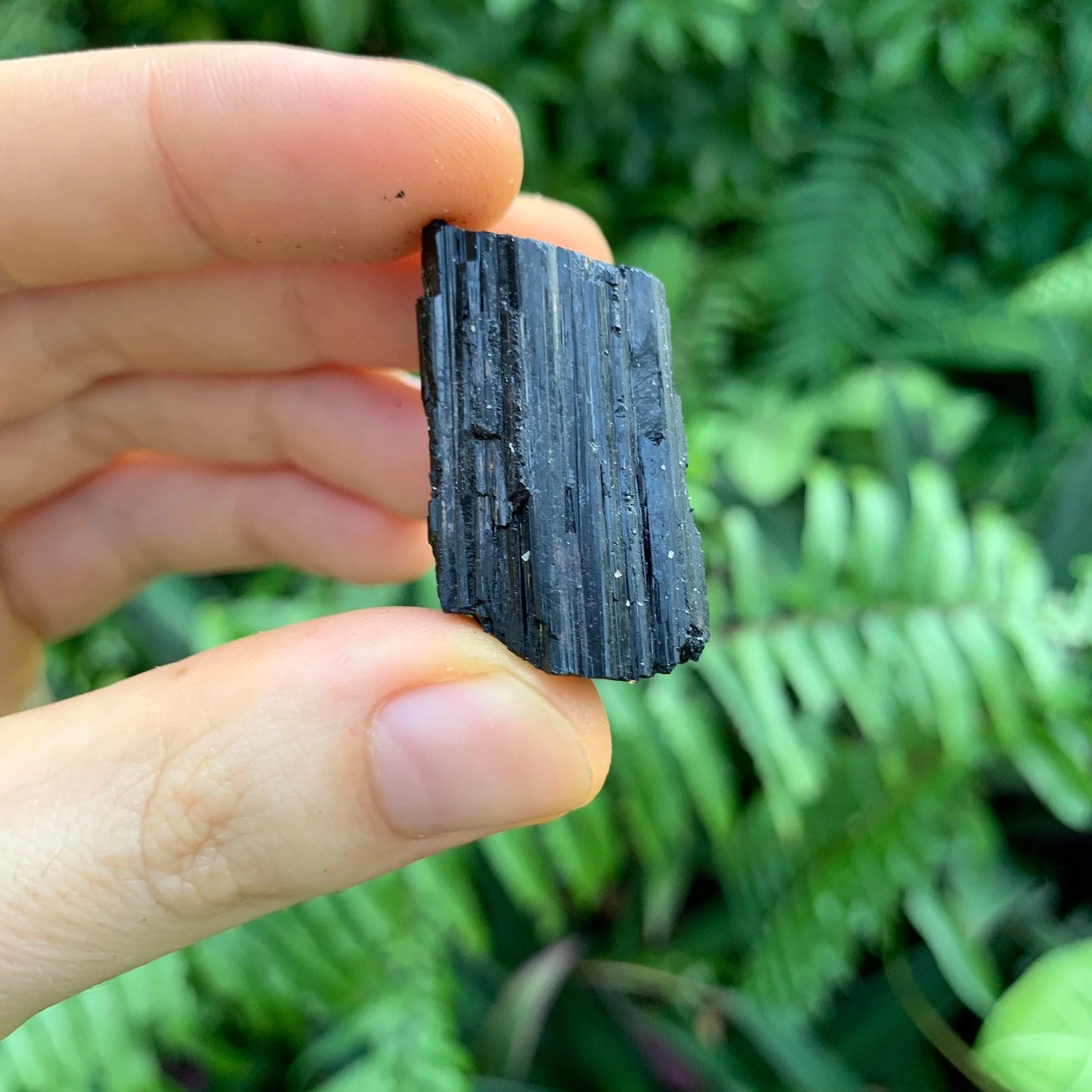 Grade aa black tourmaline raw held in hand for size reference