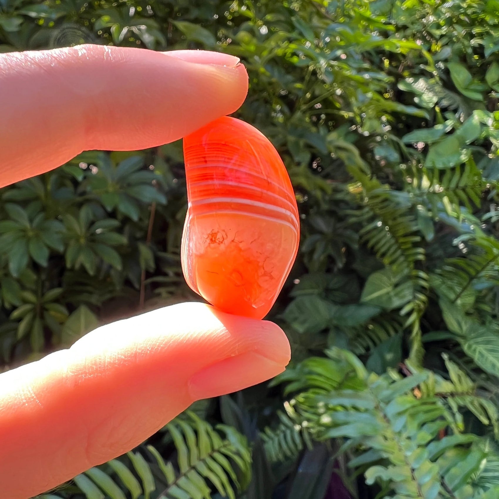 On a soft surface rests a Carnelian tumbled stone, shown alongside the hand for scale.