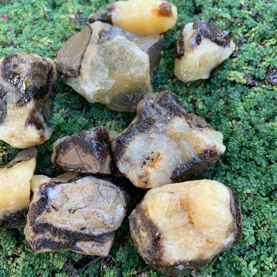 Full profile of Grade AA Septarian raw ready to ship from Beyond Bohemian