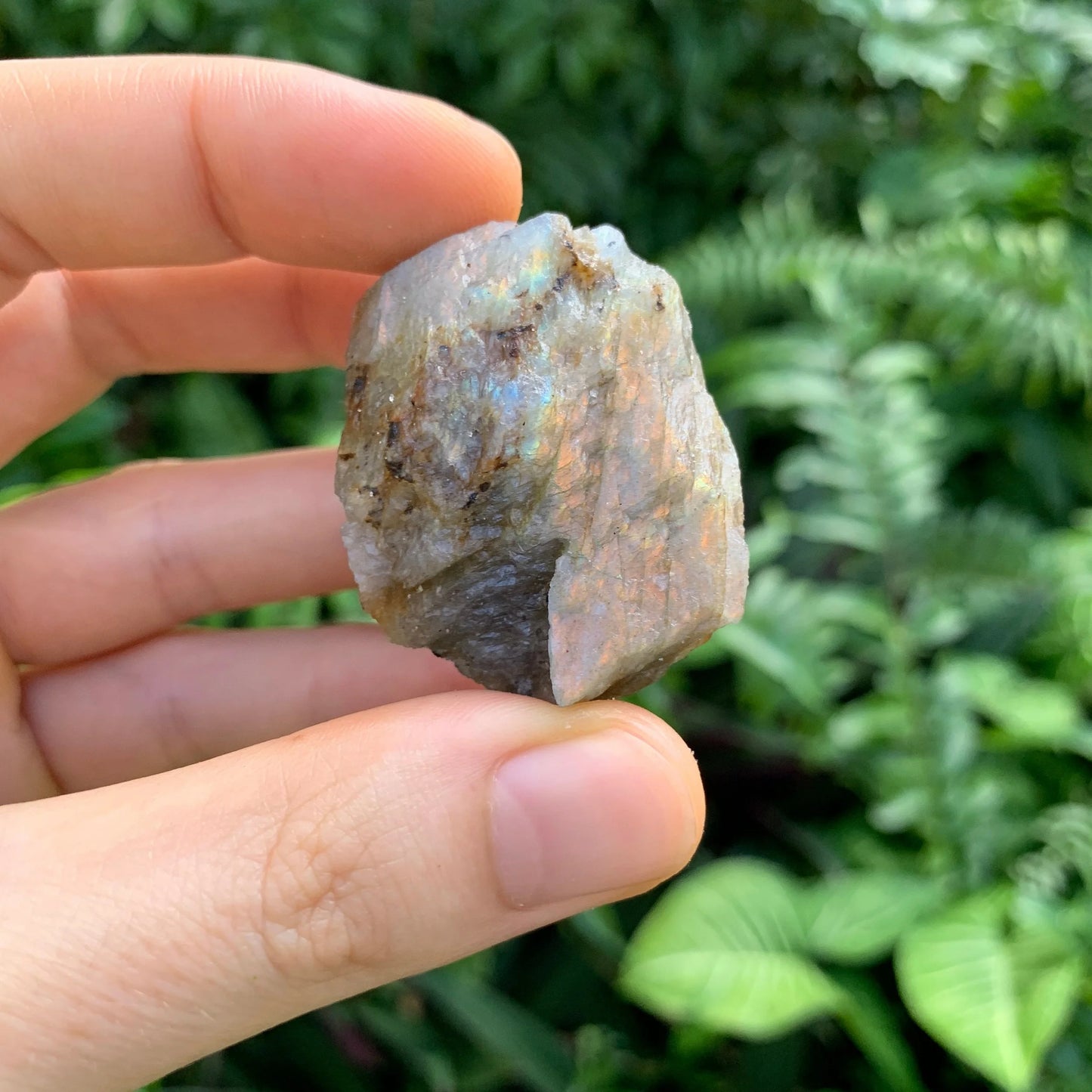 Aerial view of Labradorite raw stone, to support Intuition and Protection.