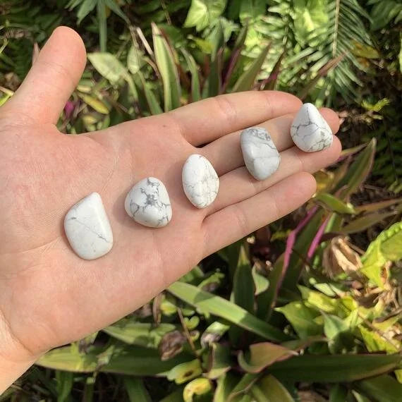 Back view of Grade AA Howlite tumbled stone showing natural surface