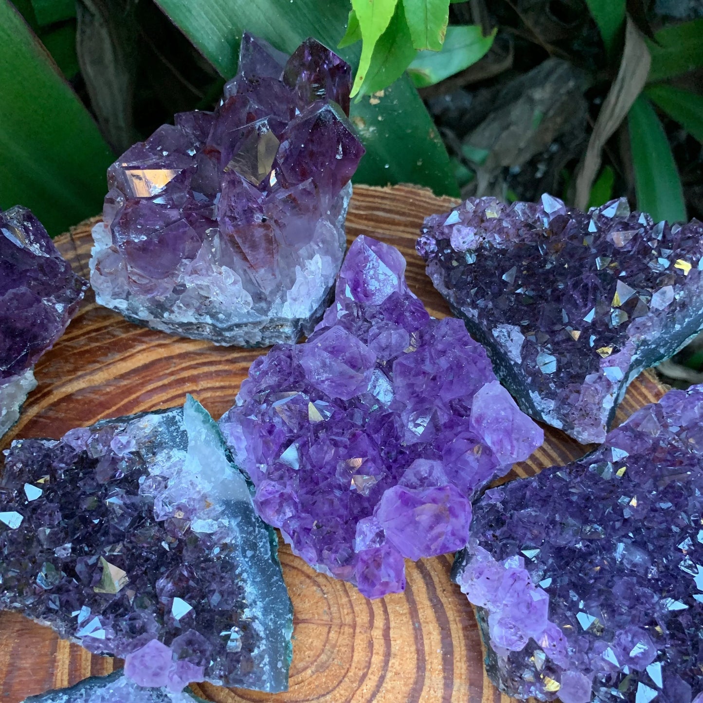 Full profile of Grade AA Amethyst cluster ready to ship from Beyond Bohemian