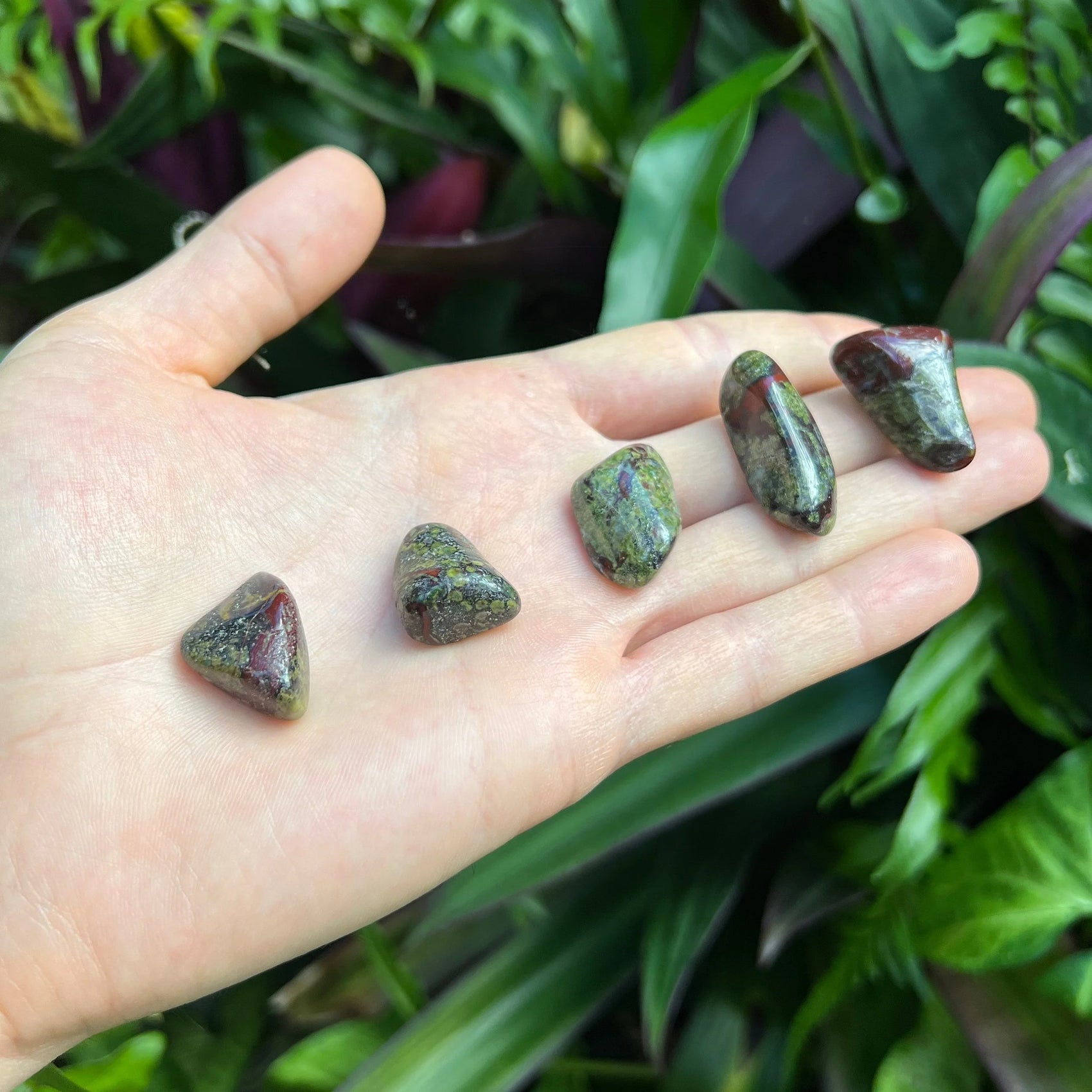Quiet study of Dragon Bloodstone tumbled stone, with depth visible across the surface.