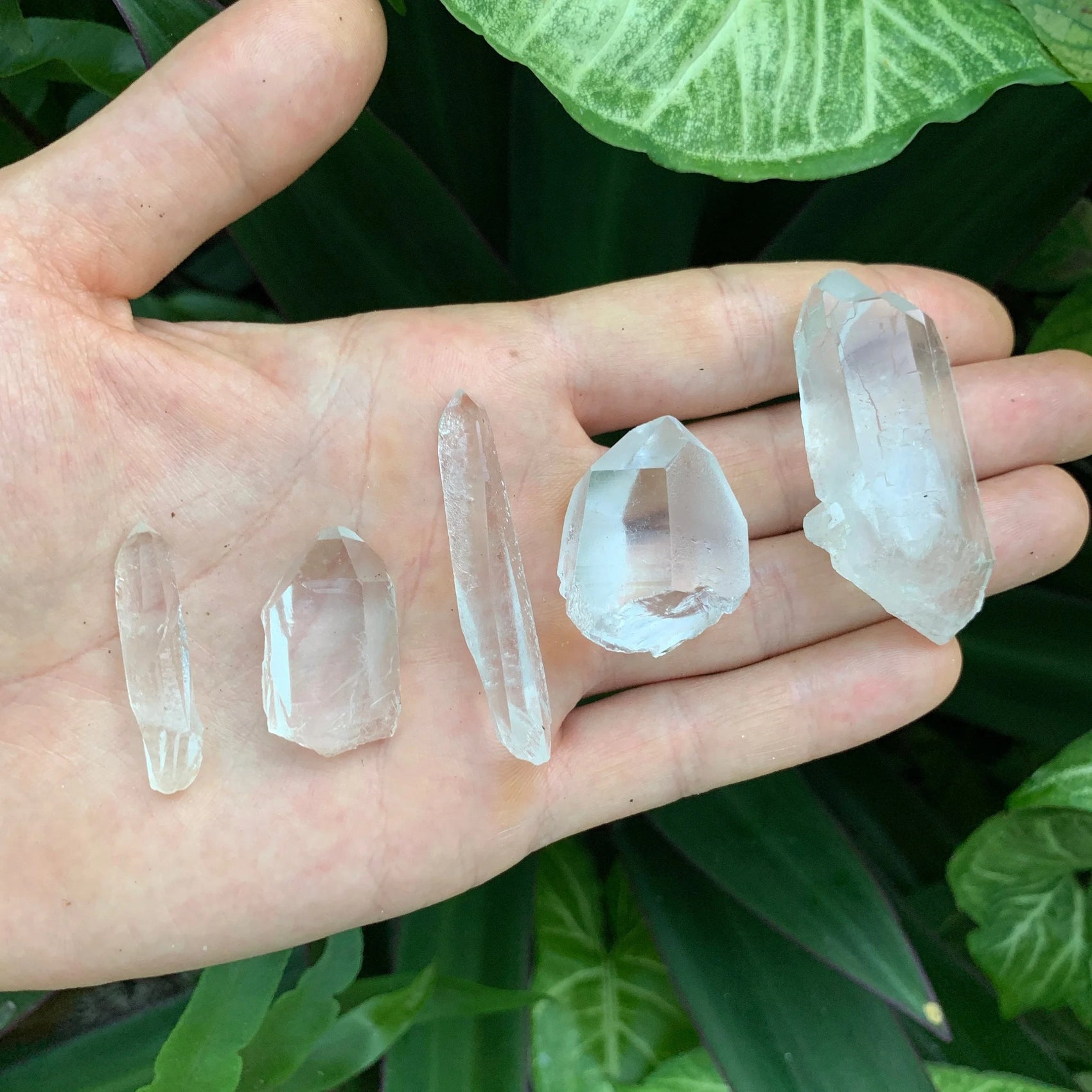 Full profile of Grade AA Clear Quartz point ready to ship from Beyond Bohemian
