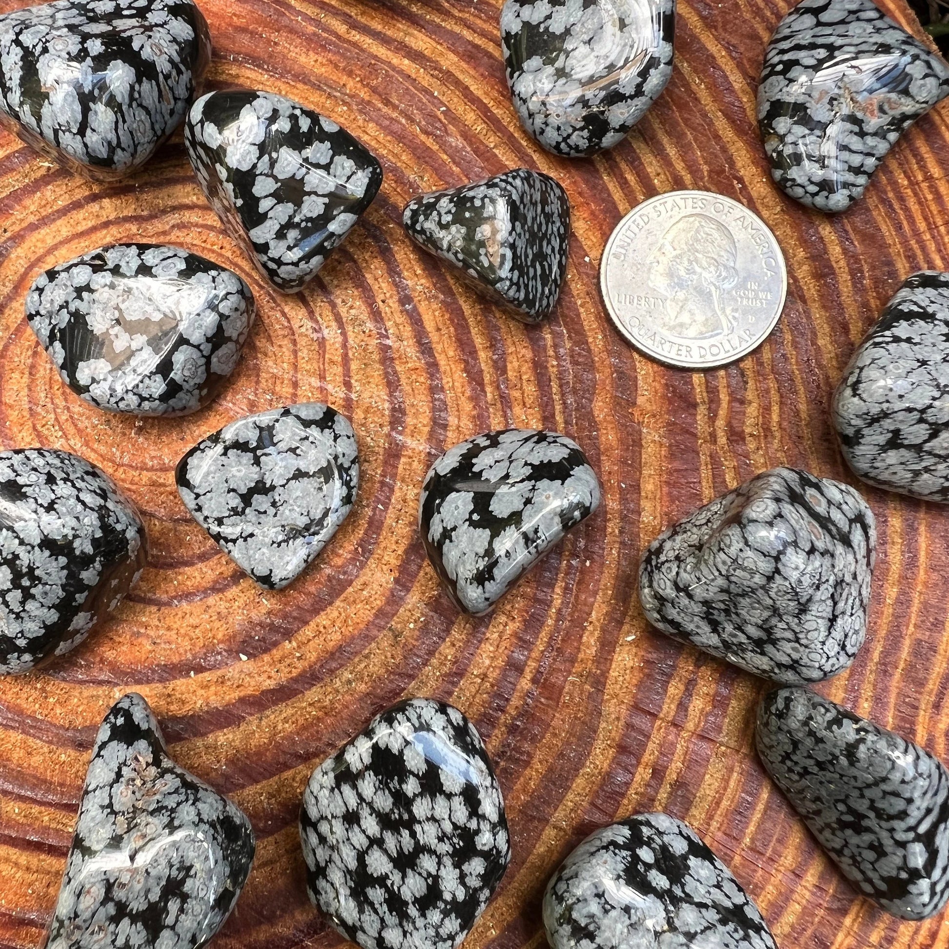 Profile view of black Snowflake Obsidian tumbled stone, often worked with for Grounding and Emotional Healing, showing natural.