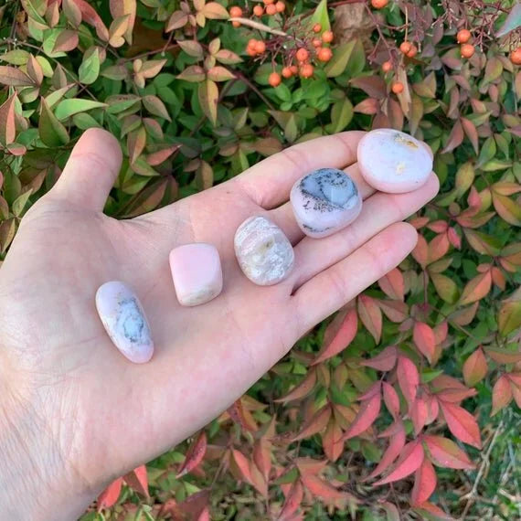 Set against a soft backdrop is a Pink Opal tumbled stone, with weight visible in the palm.