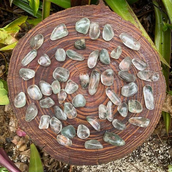 Wider context of Lodolite stone, with form visible in context.