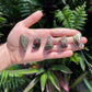 Full profile of Grade AA Dragon Bloodstone tumbled stone ready to ship from Beyond Bohemian