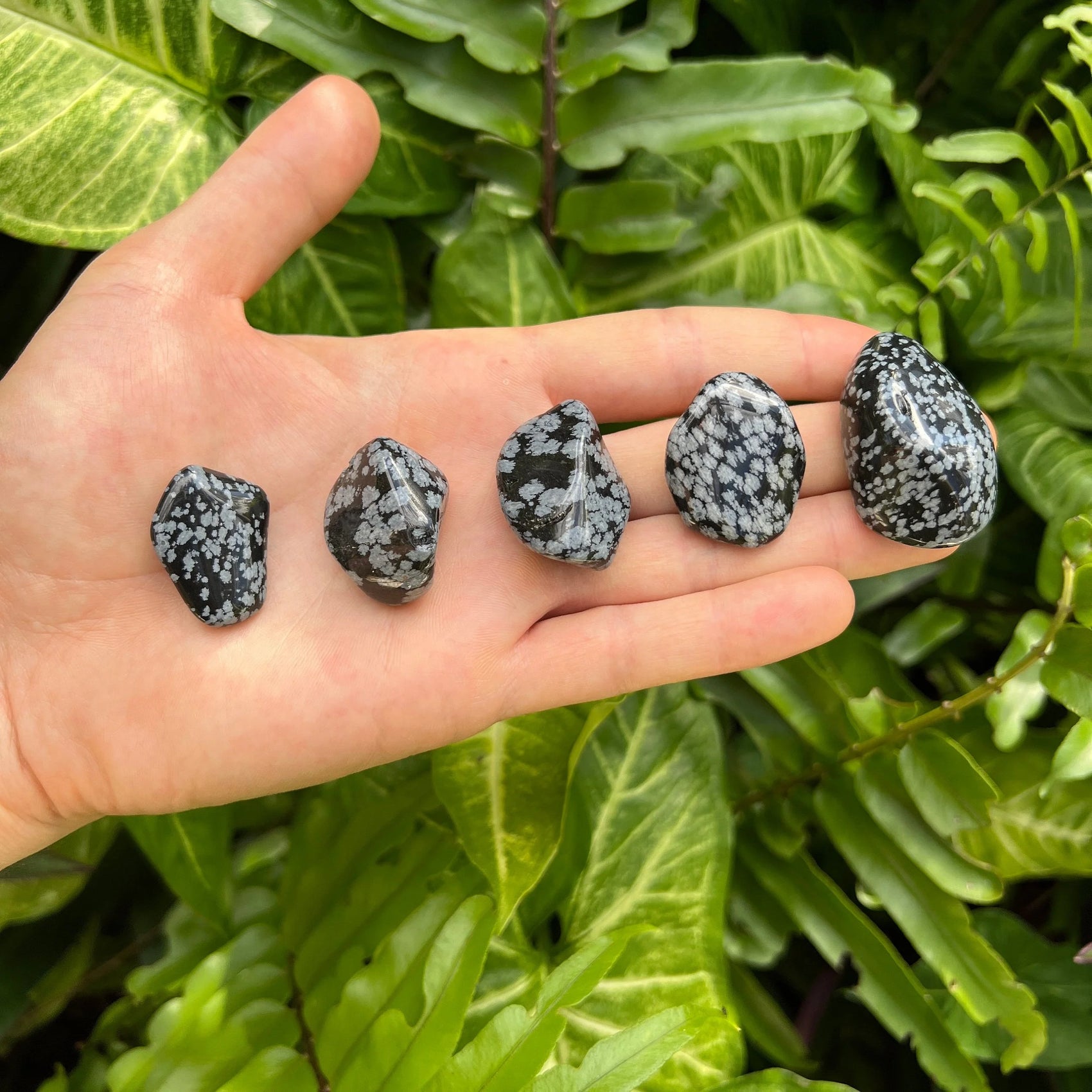 Close-up of Snowflake Obsidian tumbled stone, soothing wellness stone for Emotional Healing