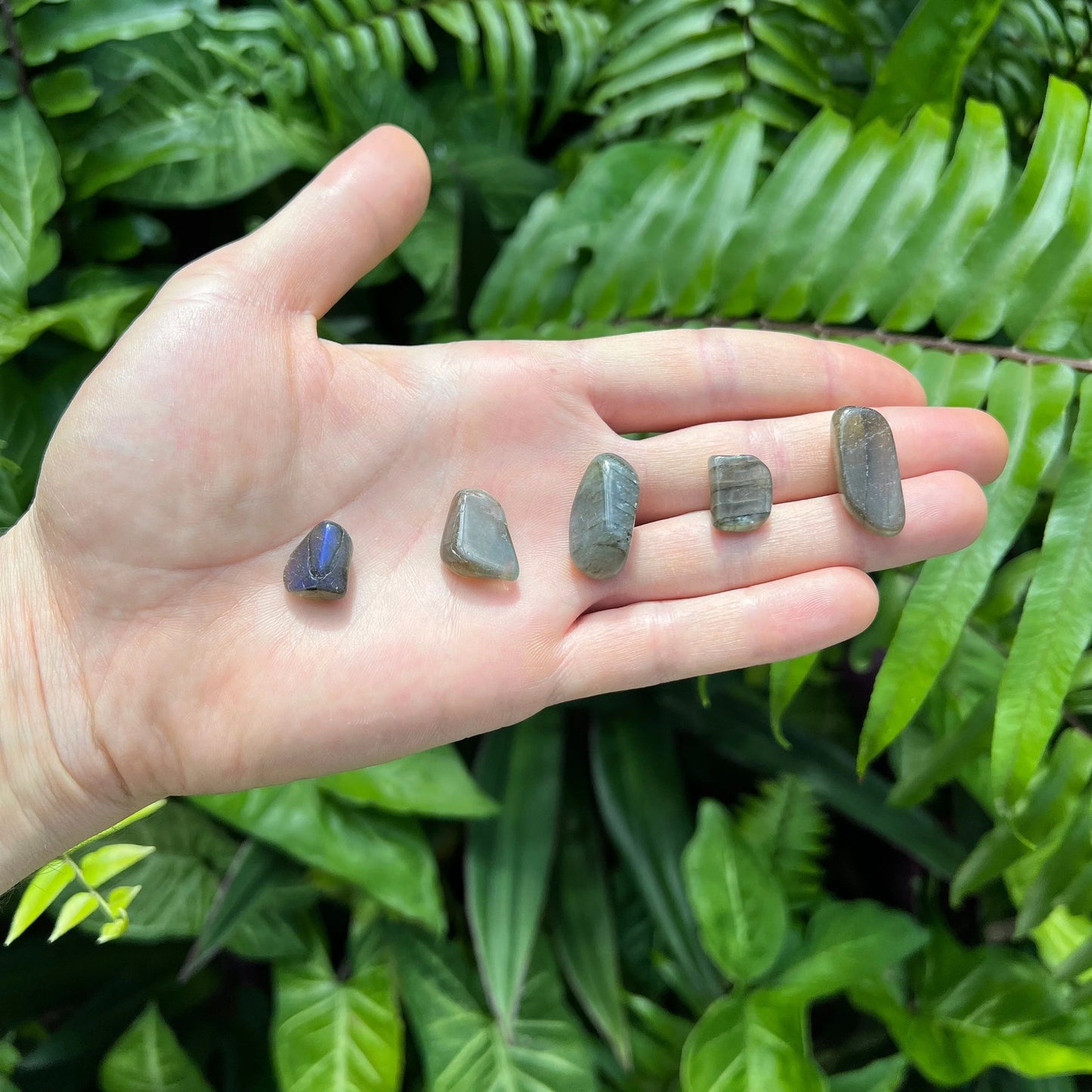 Detail shot of Grade AA Labradorite tumbled stone under natural light