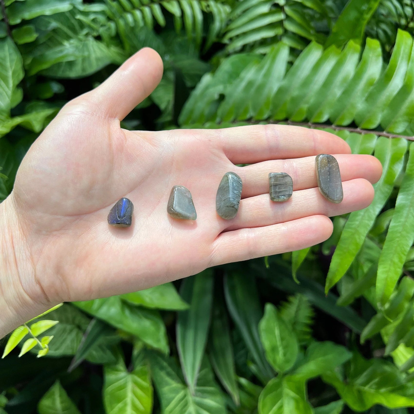 Detail shot of Grade AA Labradorite tumbled stone under natural light