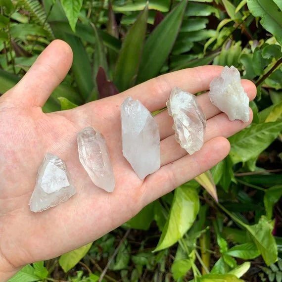 Top angle of Clear Quartz raw point, showing open form, United States-sourced.