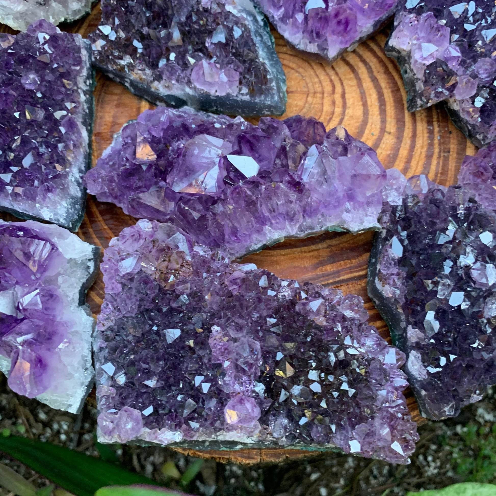 Back view of Grade AA Amethyst cluster showing natural surface