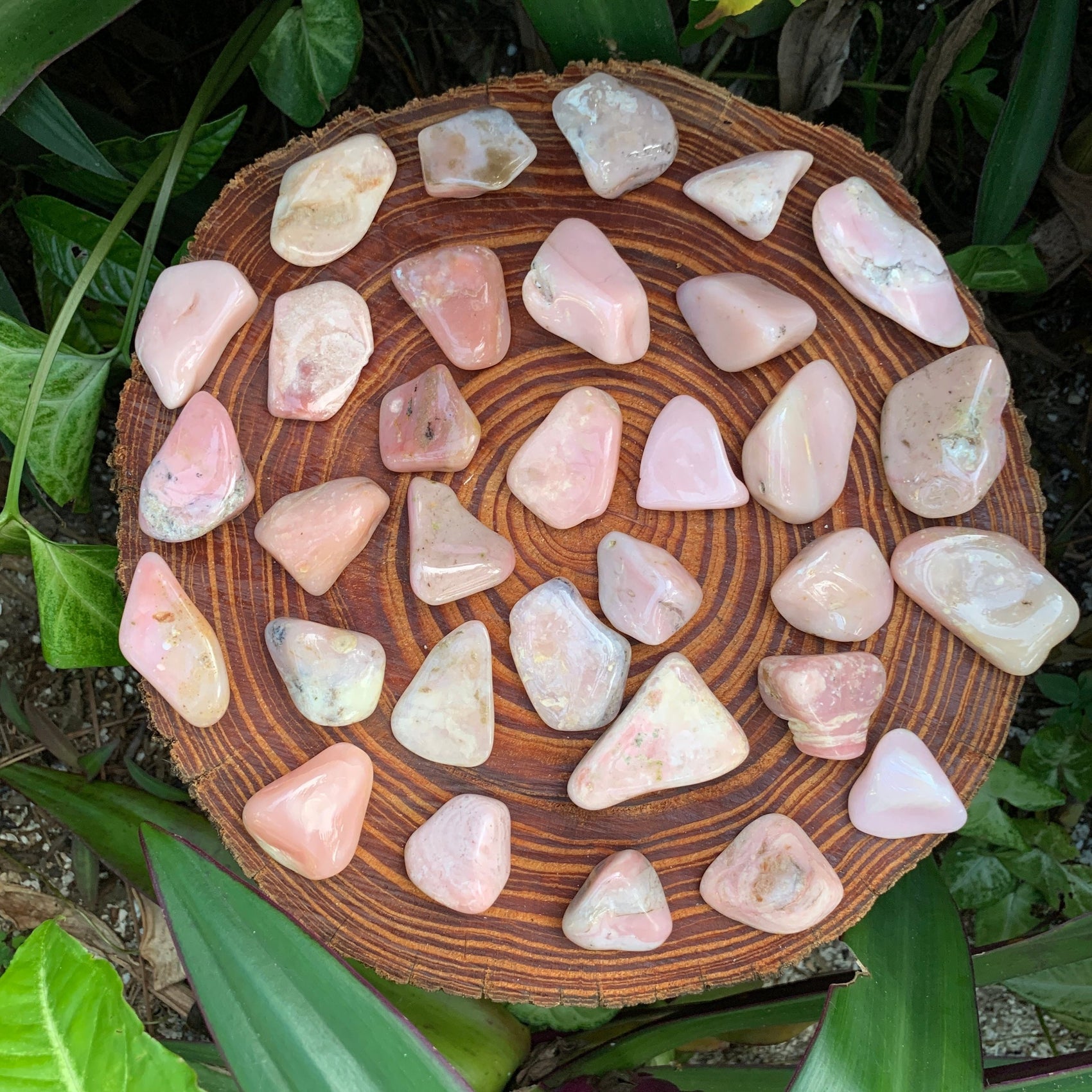 Near view of Grade A Pink Opal tumbled stone, showing subtle veining.