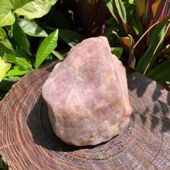 Detail shot of Grade AA Rose Quartz specimen under natural light