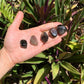 Scale reference of a Smoky Quartz tumbled stone, sourced from Madagascar.