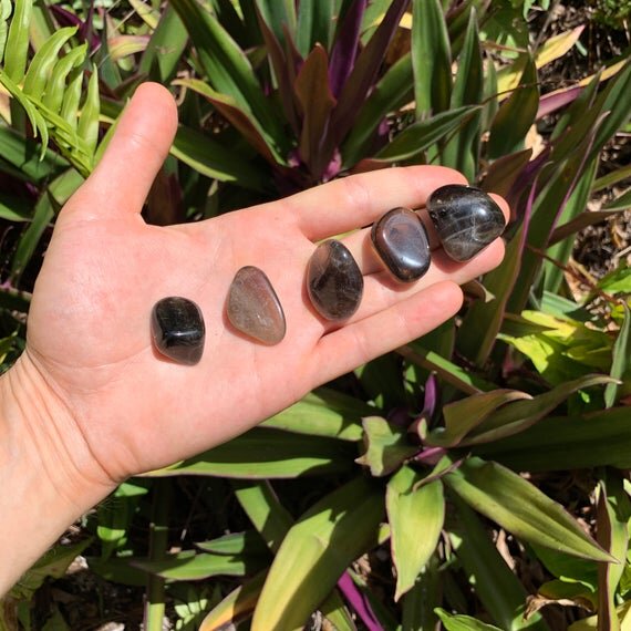 Scale reference of a Smoky Quartz tumbled stone, sourced from Madagascar.