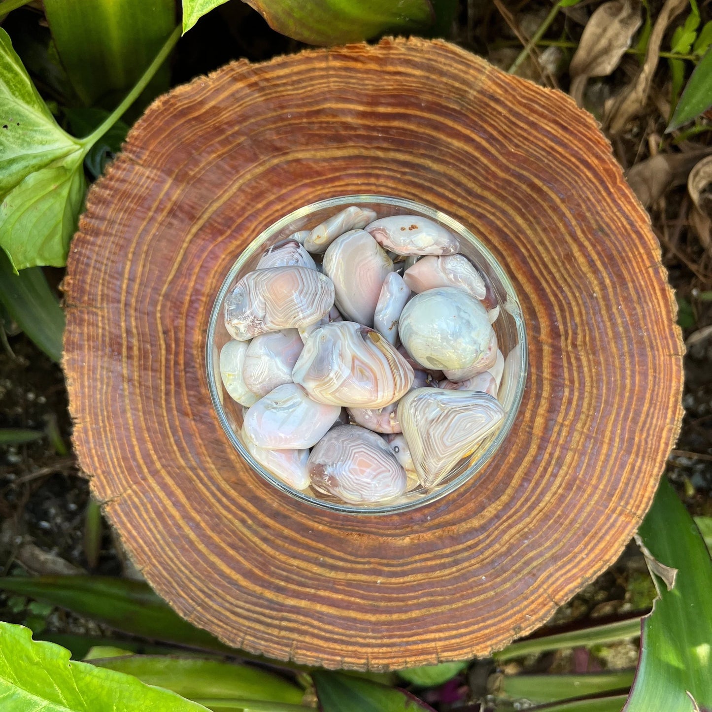 Full profile of Grade AA Pink Agate tumbled stone ready to ship from Beyond Bohemian