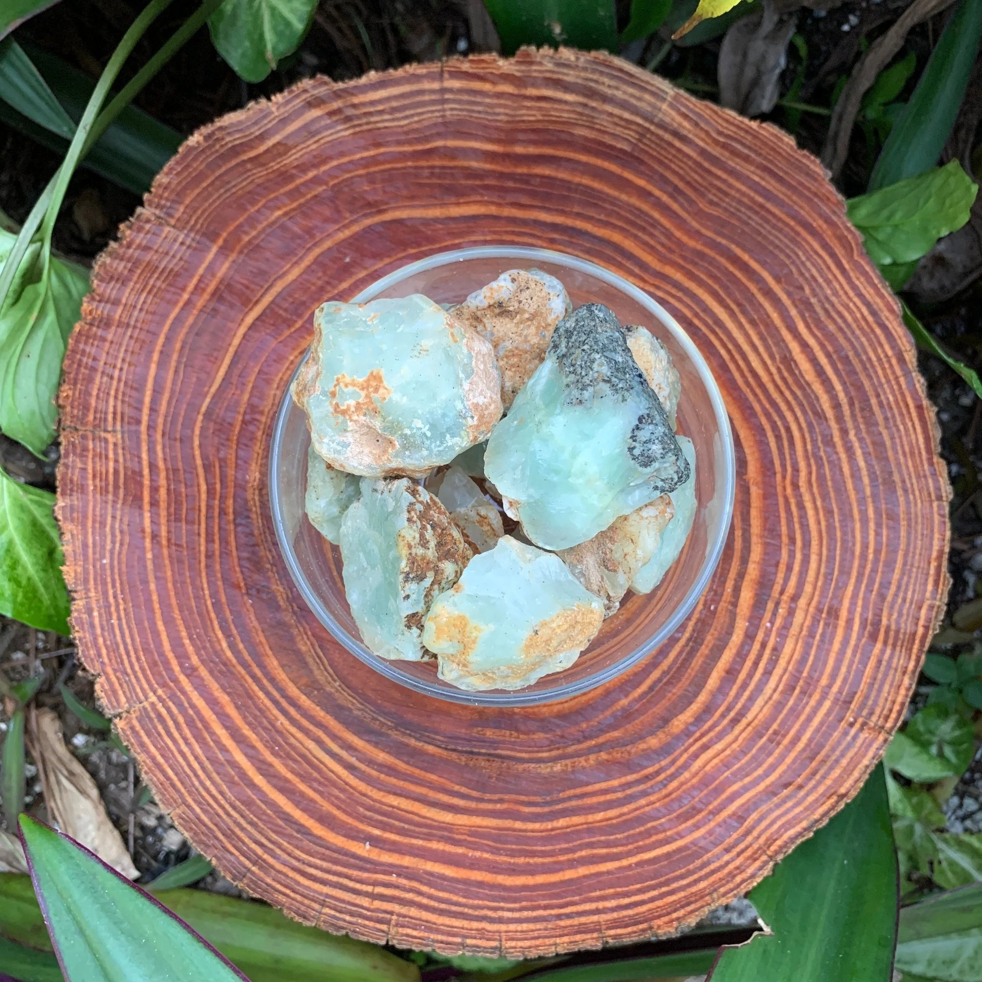 Hand-scale shot of a single Prehnite raw stone hand-selected from Kunene, Namibia.