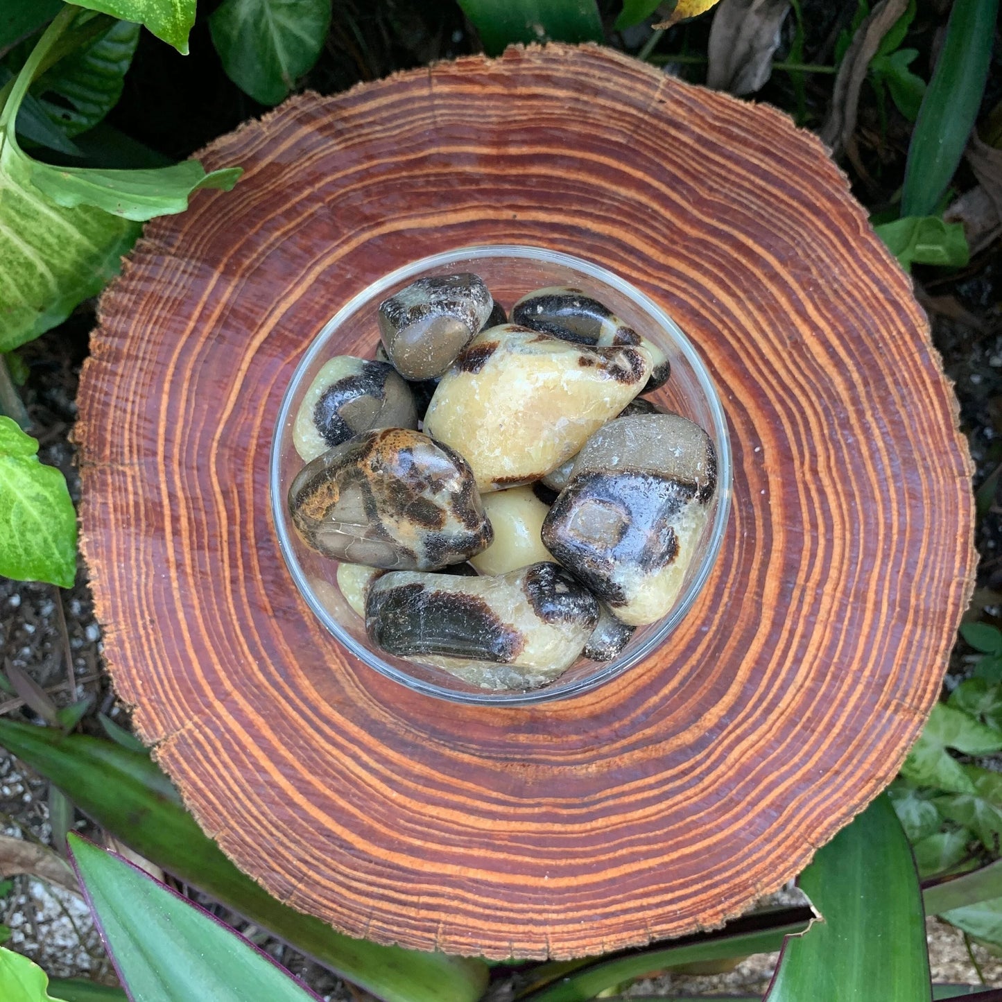 Detail shot showing Grade AA Septarian tumbled stone, sourced from Madagascar, showing subtle veining.