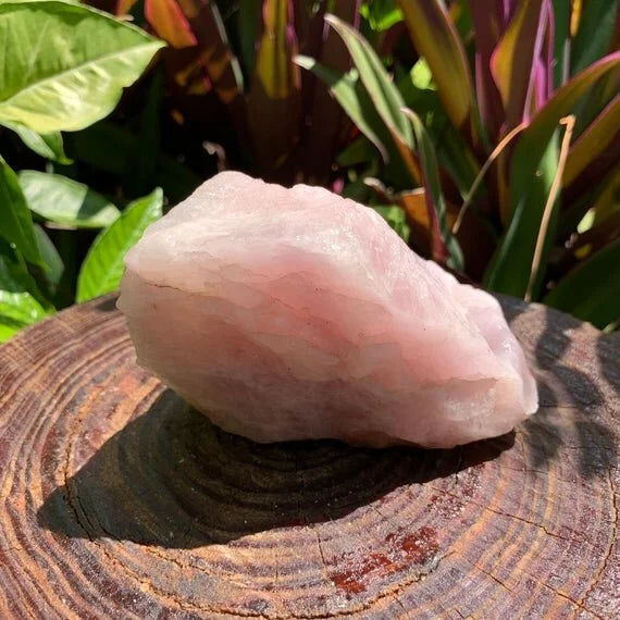 Back view of Grade AA Rose Quartz specimen showing natural surface