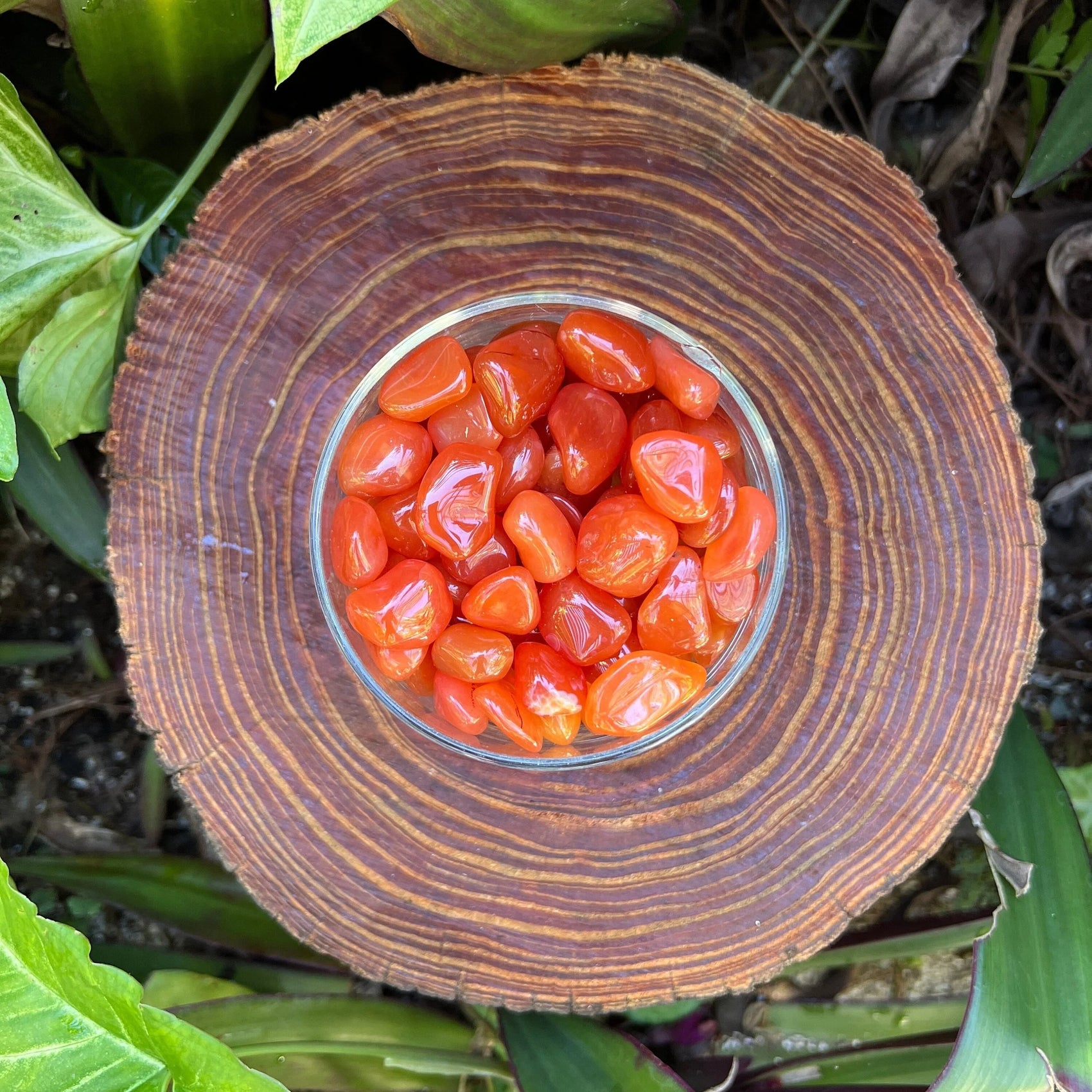 Back view of Grade AA Carnelian tumbled stone showing natural surface