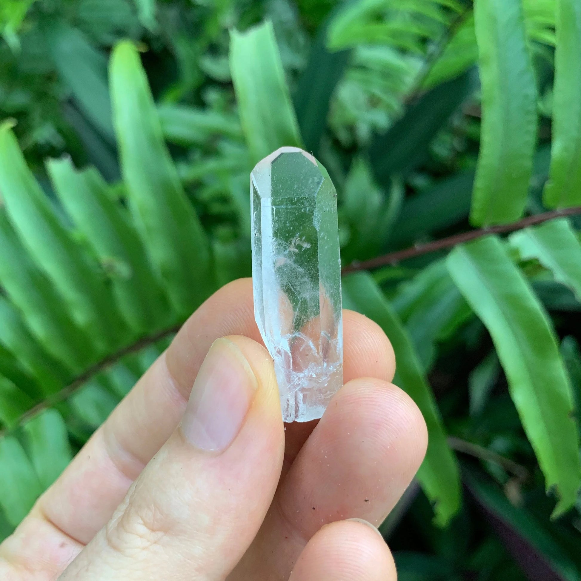 Color detail of Clear Quartz raw point, showing natural color depth.