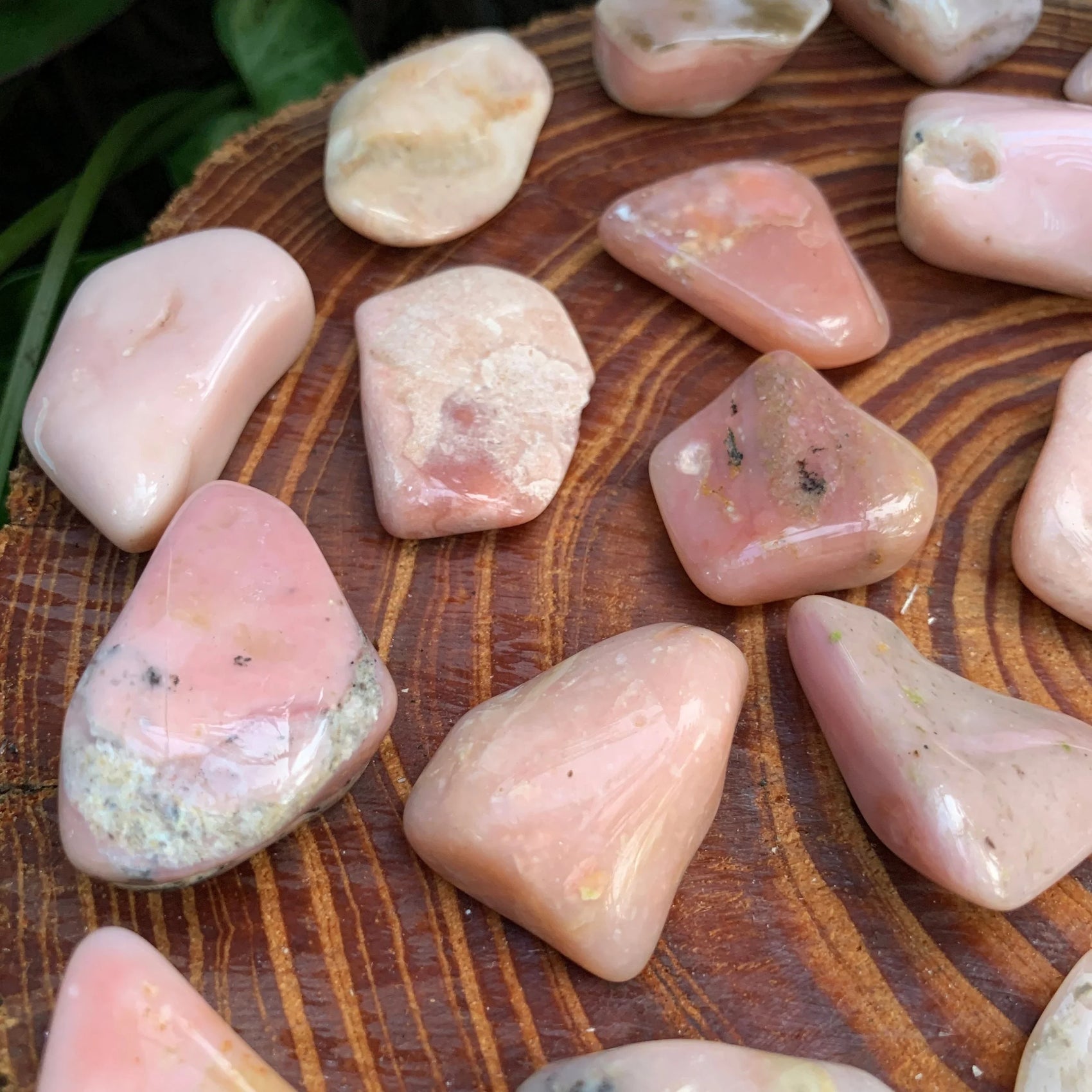 Detail shot of Grade A Pink Opal tumbled stone under natural light
