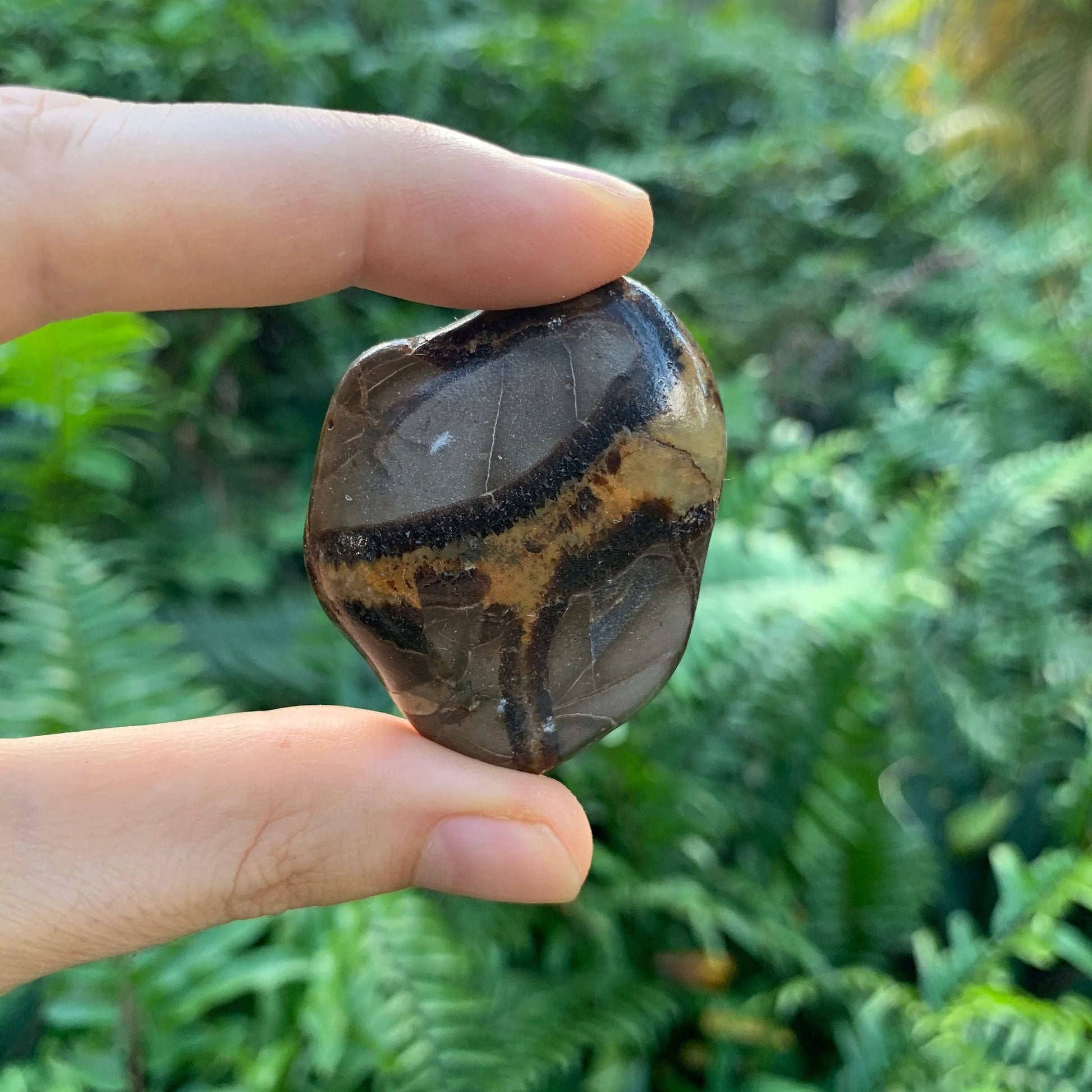 In context of a Septarian tumbled stone, from Mahajanga, Madagascar, captured in natural daylight.