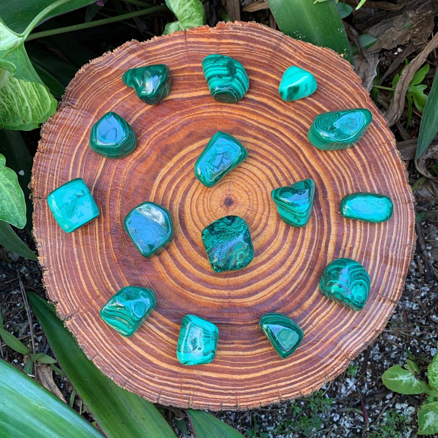 Detail shot of Grade AA Malachite tumbled stone under natural light