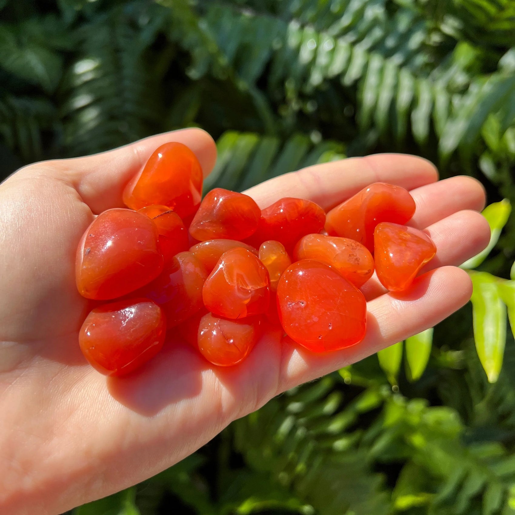 Full profile of Grade AA Carnelian tumbled stone ready to ship from Beyond Bohemian