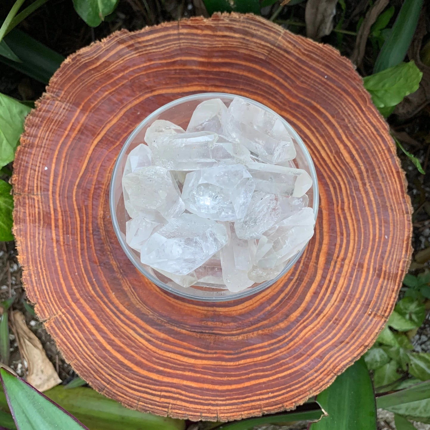 Looking down on Clear Quartz raw point, showing natural color depth, Brazil-sourced.