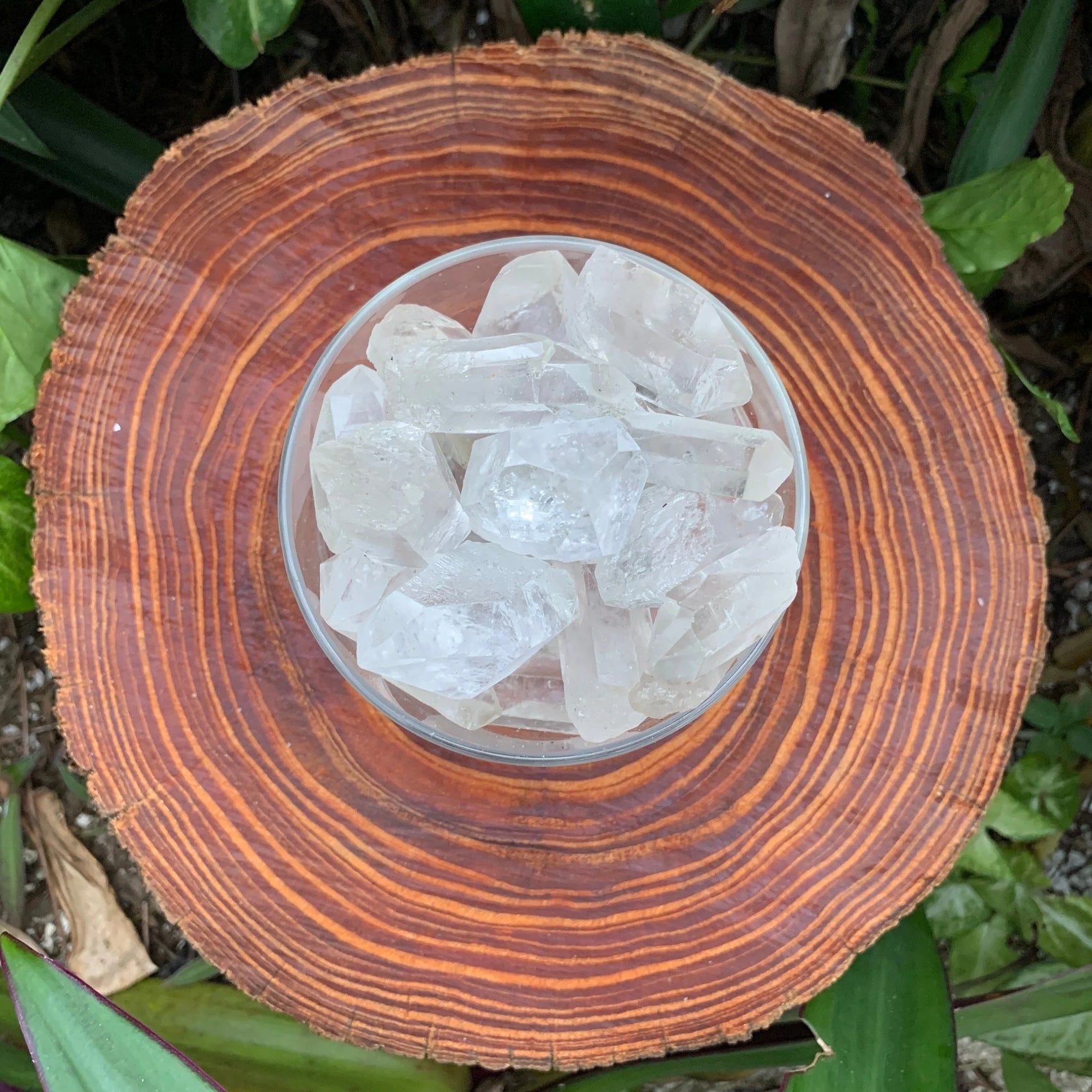 Looking down on Clear Quartz raw point, showing natural color depth, Brazil-sourced.