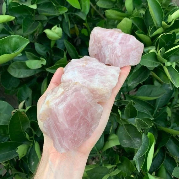 Detail shot of Grade AA Rose Quartz raw under natural light
