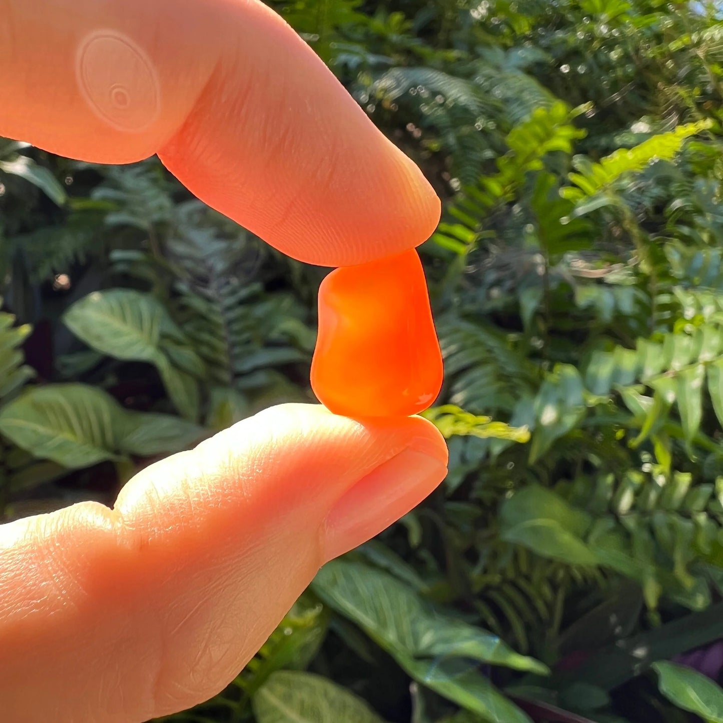 Detail shot of Grade AA Carnelian tumbled stone under natural light