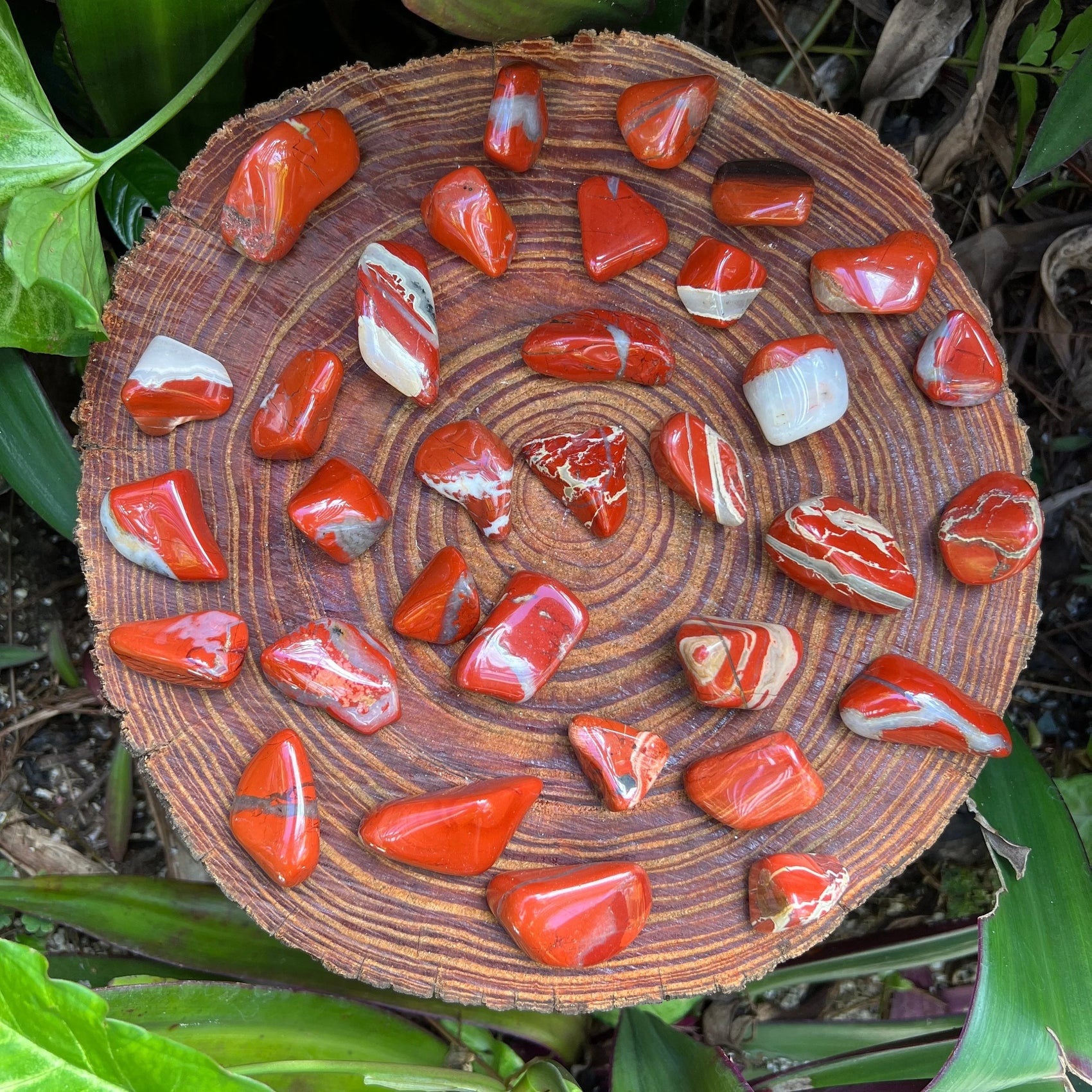 Side-on view of Red Jasper tumbled stone, hand-selected from Northern Cape, South Africa.