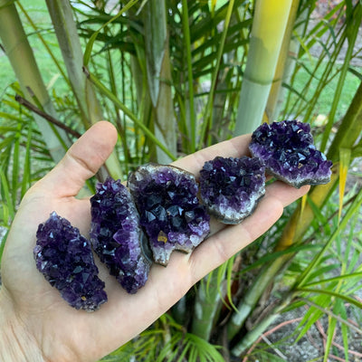 Ethically sourced Grade AAA Amethyst cluster from Artigas, Uruguay at Beyond Bohemian