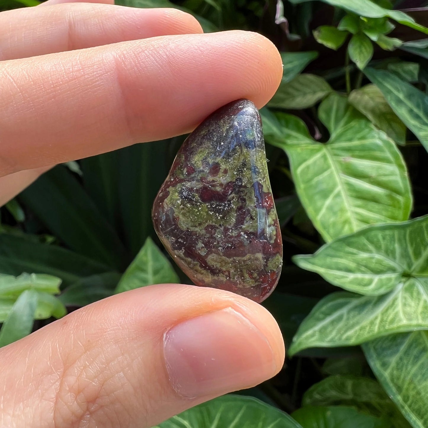 Underside view of Dragon Bloodstone tumbled stone, showing matte finish.