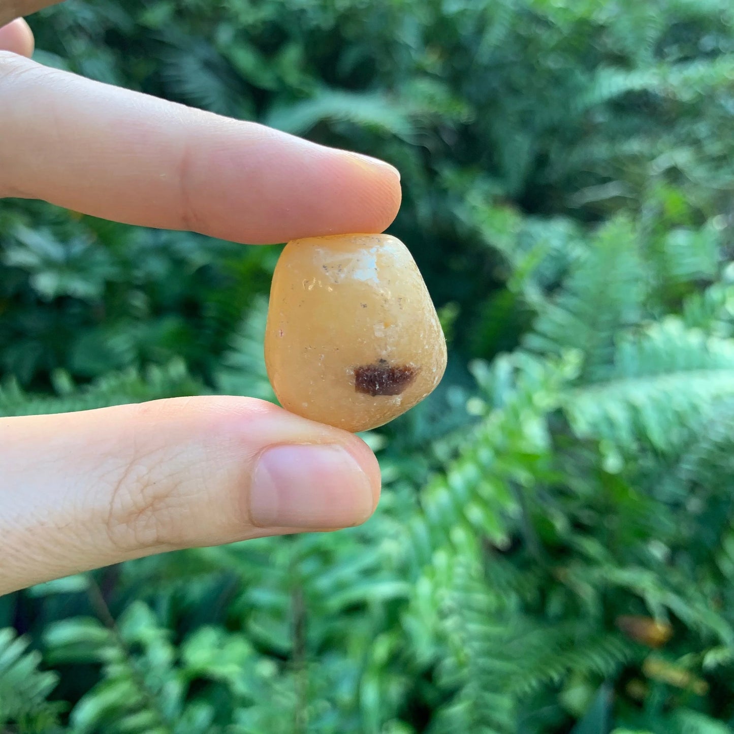 Hand-scale shot of a single Septarian tumbled stone sourced from Madagascar.