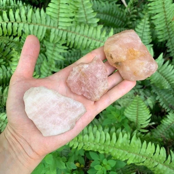 Palm-scale view of a single Rose Quartz raw stone hand-selected from South Dakota, United States.