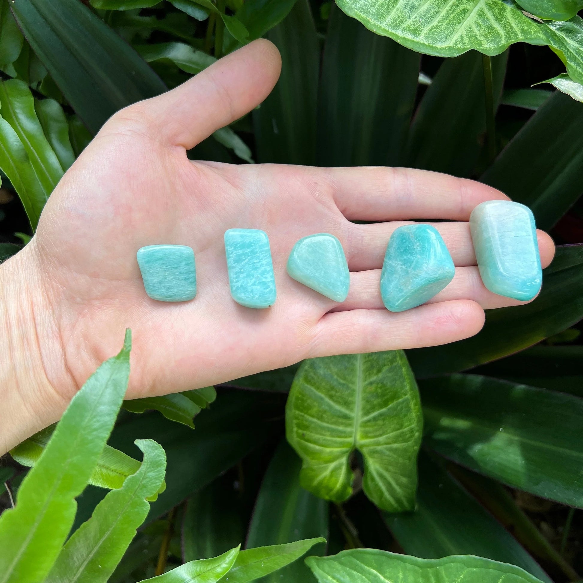 Top-down shot of Amazonite tumbled stone, kept close for Stress Relief, Mozambique-sourced.