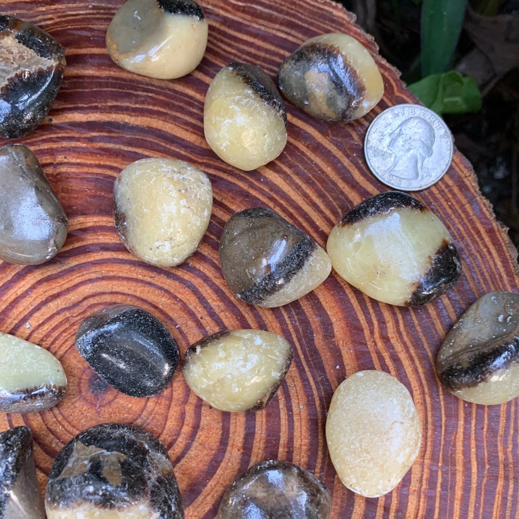 Overhead angle of Grade AA yellow Septarian tumbled stone, associated with Grounding, hand-selected from Mahajanga, Madagascar.