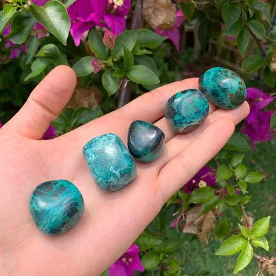 Back view of Grade AA Chrysocolla tumbled stone showing natural surface