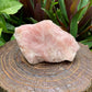 Size comparison with a Rose Quartz specimen held against natural backdrop, Madagascar-sourced.