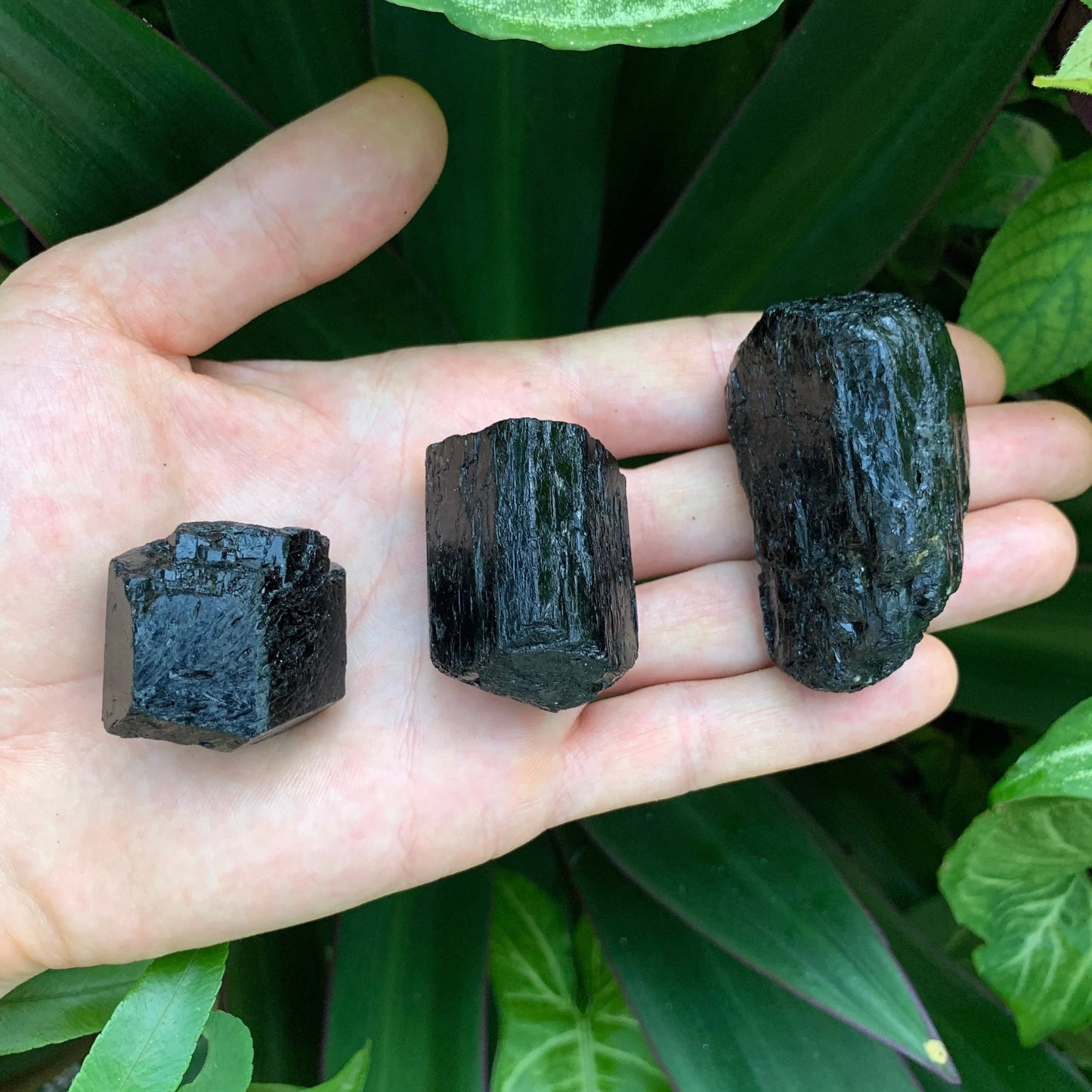 Detail shot of Grade AA Black Tourmaline raw under natural light