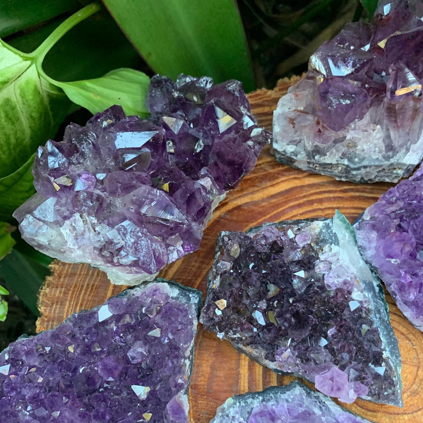 Detail shot of Grade AA Amethyst cluster under natural light
